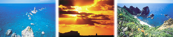 金澤靜司氏写真